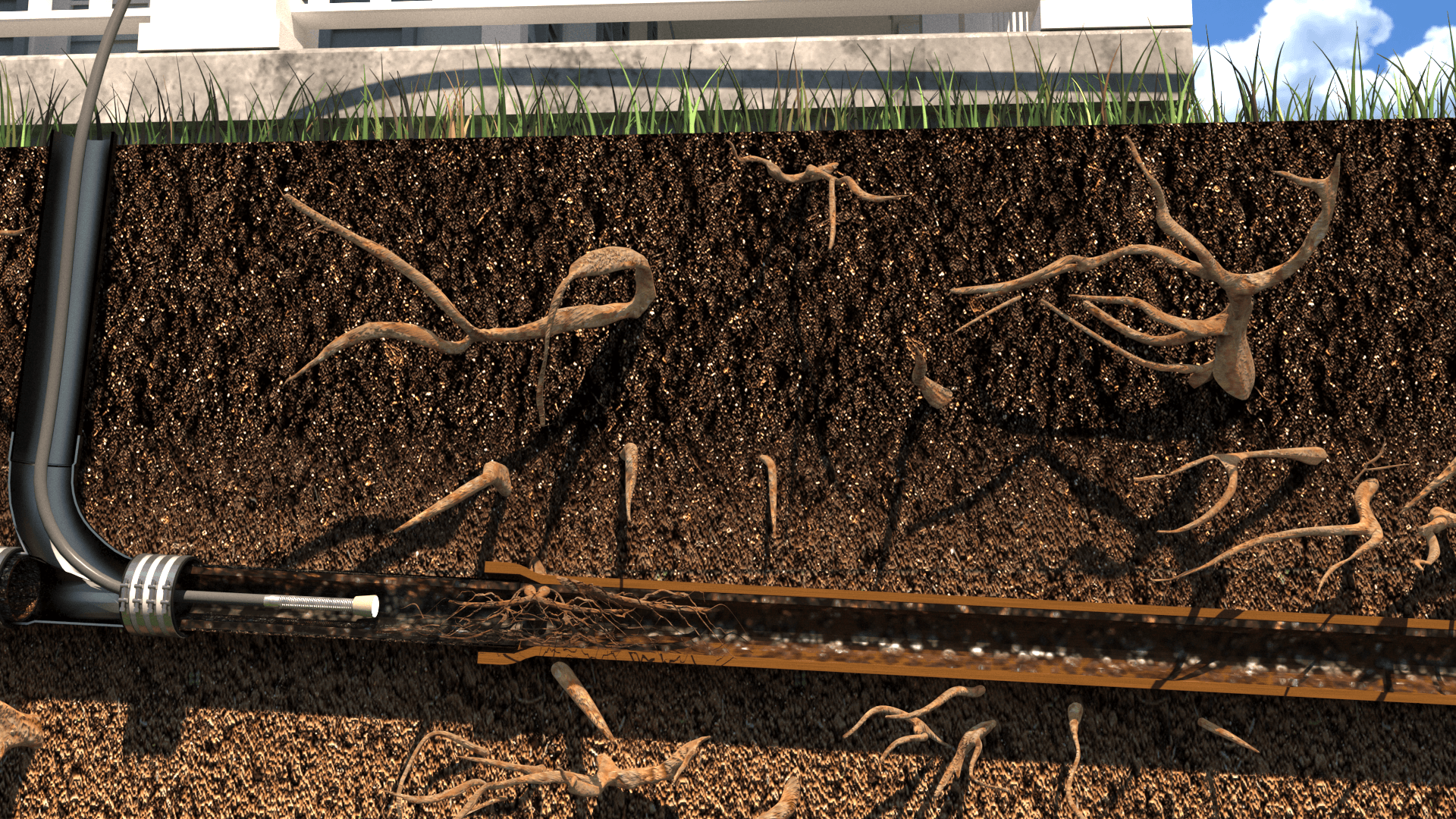 Step 2 Identify problem