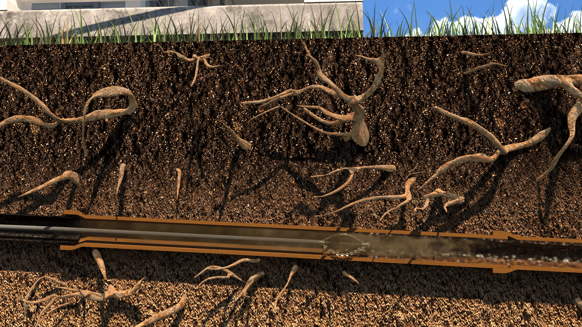 Step 4 continue root cutting